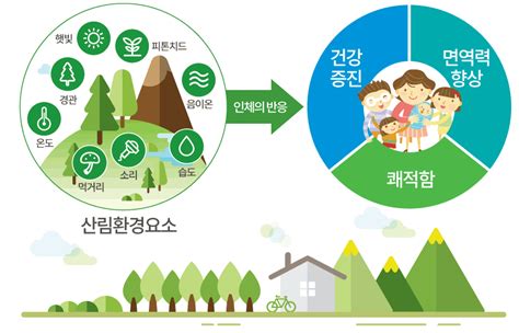 산림치유 소개 한국산림복지진흥원