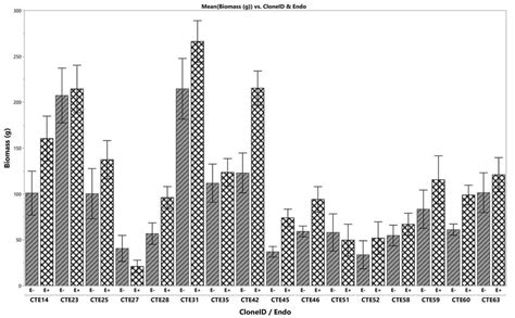 Average Aboveground Biomass For 16 Tall Fescue Clones That Were