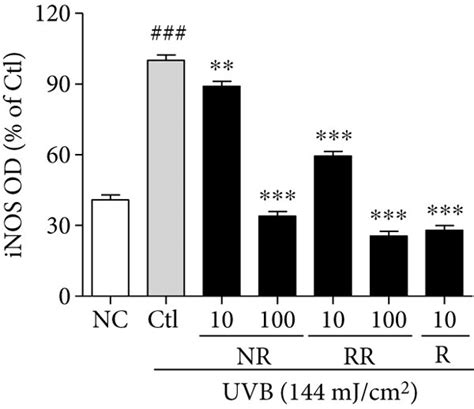 Proinflammatory Cytokines Tnf α And Il 6 Secretion And Inflammatory