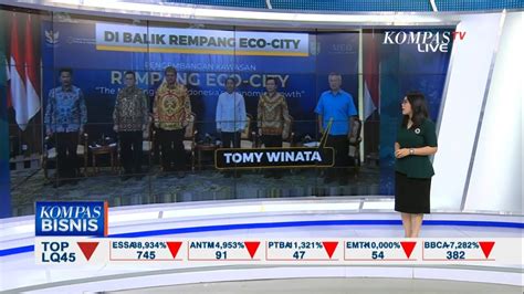 Ada Konglomerat Tomy Winata Di Balik Proyek Rempang Eco City Youtube