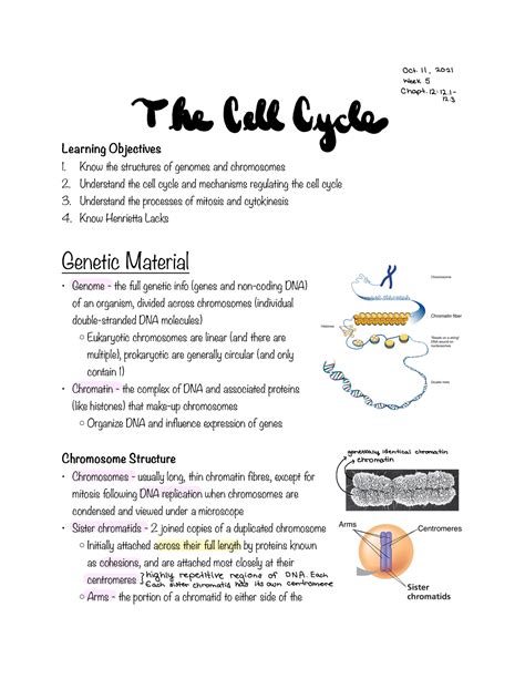 Week Biol The Cell Cycle Learning Objectives Know The