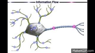 Neural Networks, A Simple Explanation on Make a GIF