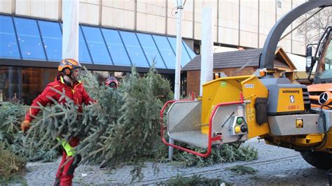 Weihnachtsb Ume Vom Geraer M Rchenmarkt Landen Im Schredder