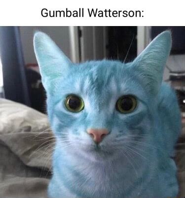 Gumball Watterson: - iFunny