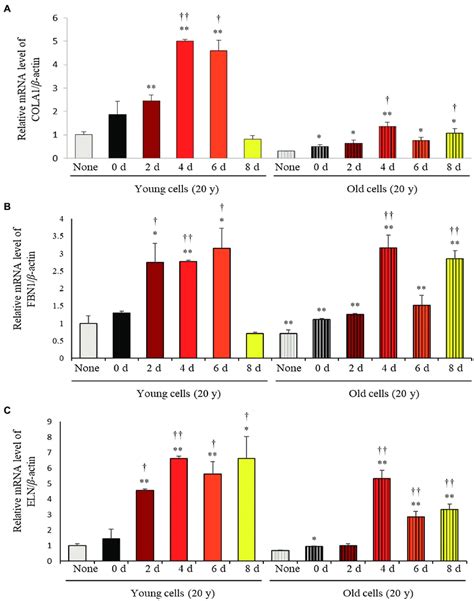 Relative Mrna Expression Levels Of A Cola B Fbn And C Eln