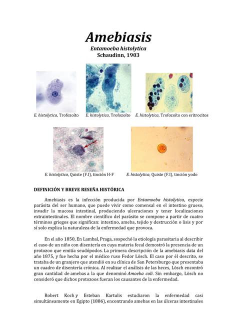 Amebiasis Corregido Amebiasis Entamoeba Histolytica Schaudinn 1903 E Histolytica Trofozoíto