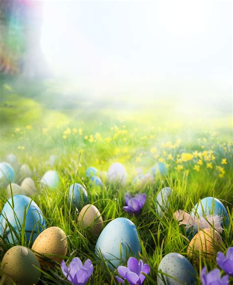 Printed Colorful Easter Eggs On The Grass In The Sunshine Backdrop For