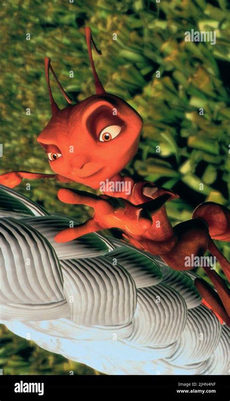 Z, ANTZ, 1998 Stock Photo - Alamy