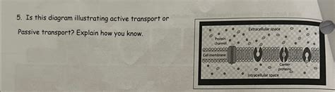 Solved Is this diagram illustrating active transport or | Chegg.com