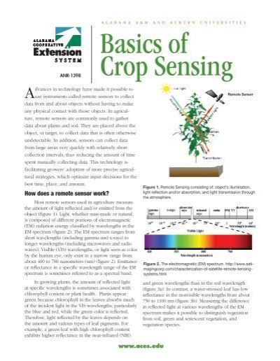 Basics Of Crop Sensing Alabama Cooperative Extension System