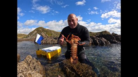 Awesome Diving Fishing Kahawai Crayfish Porirua Wellington NZ