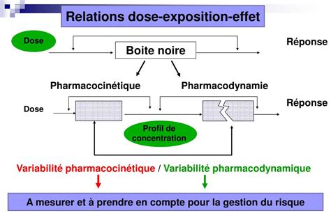 PPT Relations pharmacocinétique pharmacodynamie Introduction Alain