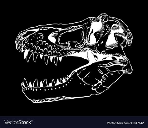 T Rex Skull Clip Art