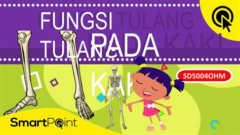 Fungsi Tulang Pada Kaki Manusia Smartpoint Ppt