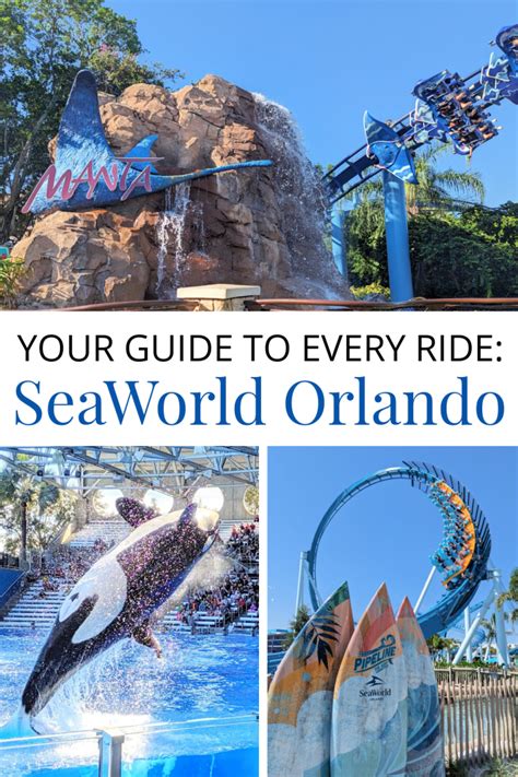 Your guide to all the rides at SeaWorld Orlando (2024) - Family Gap ...