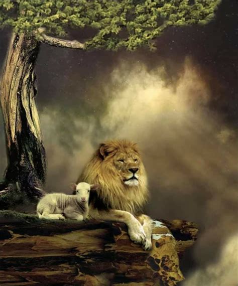 The Lion Shall Lie Down With The Lamb Artofit