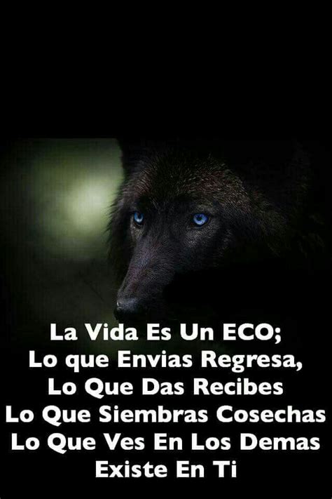 Pin En Inspirate Frases De La Vida Frases De Lobos Lo Que Das Recibes