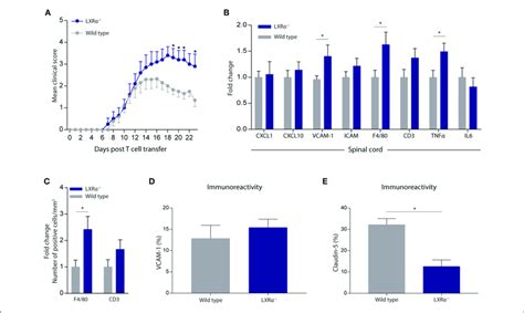 Lxr Exacerbates The Disease Score In A Neuroinflammatory Mouse