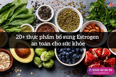 Tìm Hiểu ăn Gì Có Nhiều Estrogen để Duy Trì Sức Khỏe Phụ Nữ