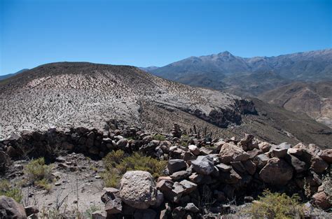 Ecosistema Terrestre Matorral Bajo Desértico Tropical Andino De