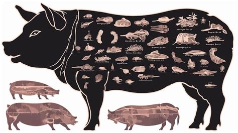 Pork Cut Diagram In Black Pig Silhouette Butchers Chart Premium Ai