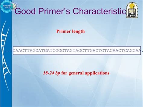 Primer design | PPT