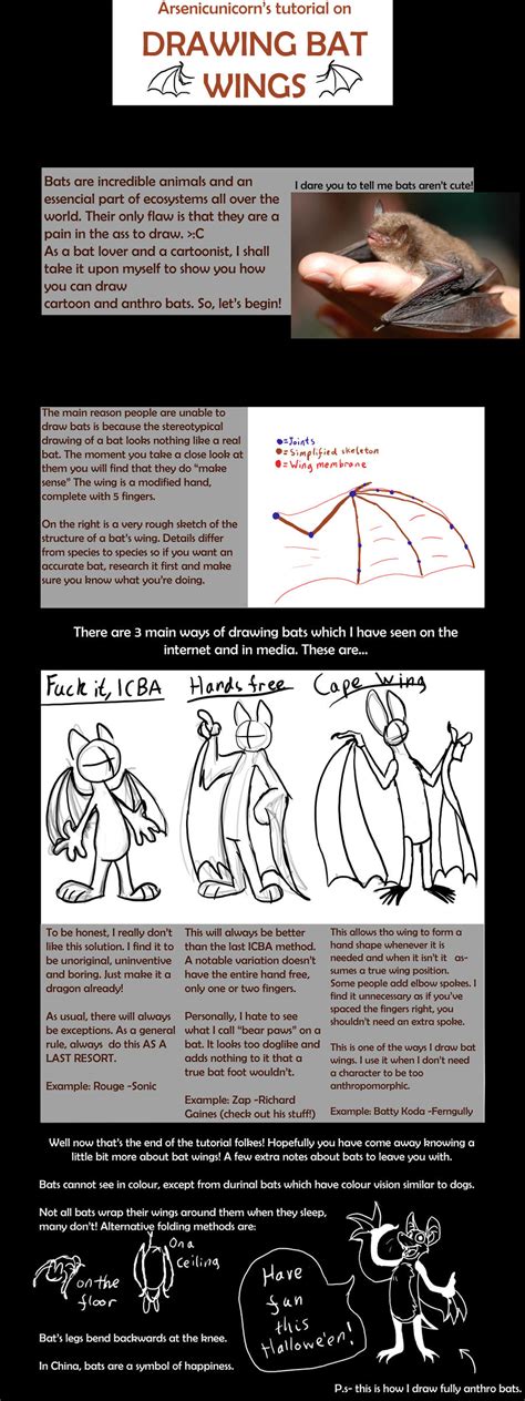 How To Draw Bat Wings Basic By Arsenicunicorn On Deviantart