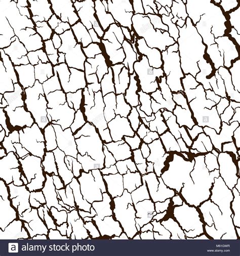 Tree Bark Texture Drawing At Getdrawings Free Download