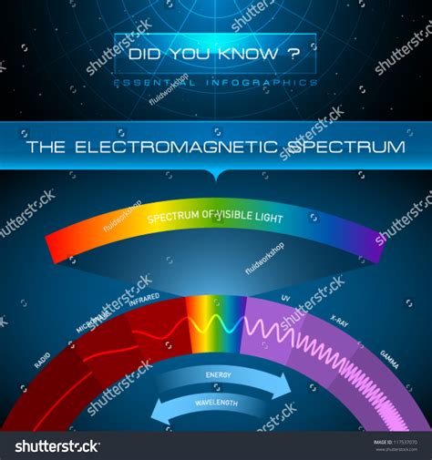 Vector Infographic Electromagnetic Spectrum Stock Vector Royalty Free