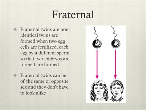 Difference In Twins Of Opposite Sex Telegraph