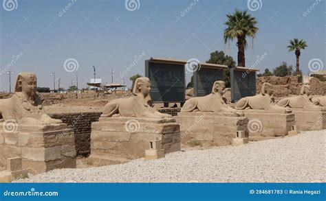 The Sphinx Avenue In Luxor In Egypt Between Karnak And Luxor Temples