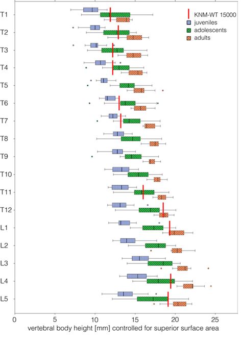 Figure From No Skeletal Dysplasia In The Nariokotome Boy Knm Wt