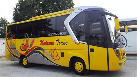 Info Lengkap Foto Dan Harga Sewa Bus Pariwisata Natama Trans