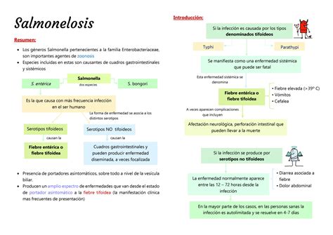 SOLUTION Salmonelosis Sintomas Diagnostico Y Tratamiento Studypool