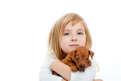 How Much Does It Cost To Treat Ringworm In Dogs