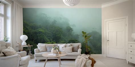 Misty Amazon Rainforest Wallpaper - Happywall