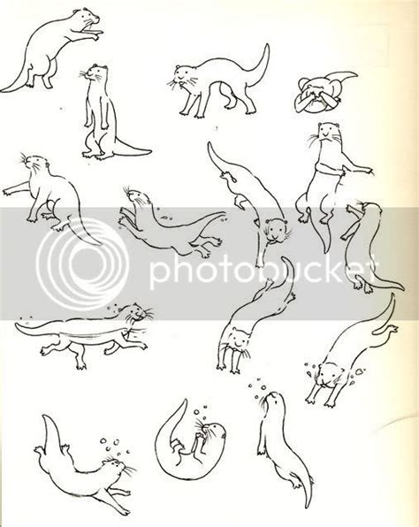 Illustration Blog: Otter sketches