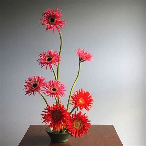 Spider Gerbera Flower Arrangement By Catherine Foxwell