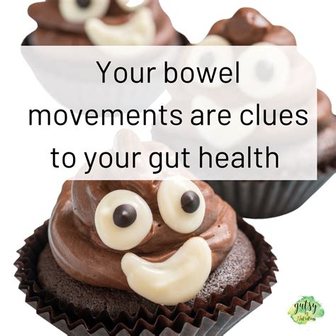 Your Bowel Movements Give Clues About Your Gut And General Health — Gutsy By Nutrition Health