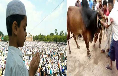 Nation Celebrates Eid Ul Azha With Great Religious Zeal And Fervor