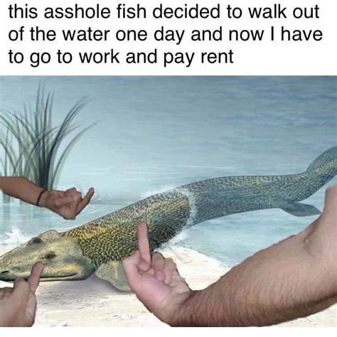 this a------ fish decided to walk out of the water one day and now i ...