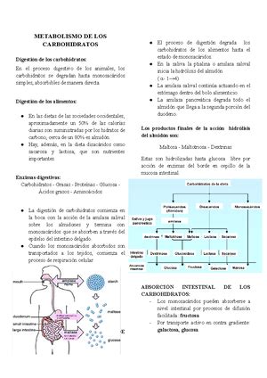 Pr Ctica Bioqu Mica Facultad De Ciencias De La Salud Escuela