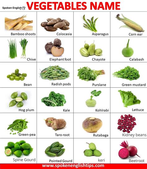 List Of 100 Vegetables Name In English With Pictures December 2024