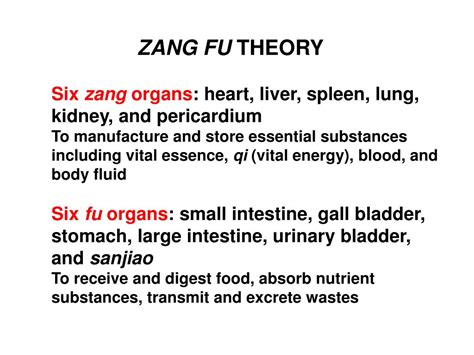 Zang Fu Theory As Related To Traditional Chinese Medicine Pictures