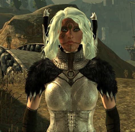 More Covered Female Chasind Robes Retexture At Dragon Age Origins