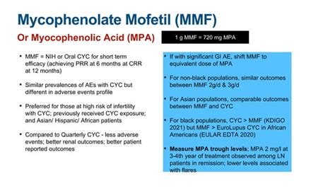 Lupus Nephritis Guideline Review 2022 Ppt