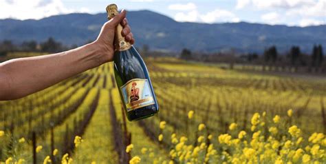 6 Lesser-Known But Excellent Sparkling Wineries in Sonoma County ...