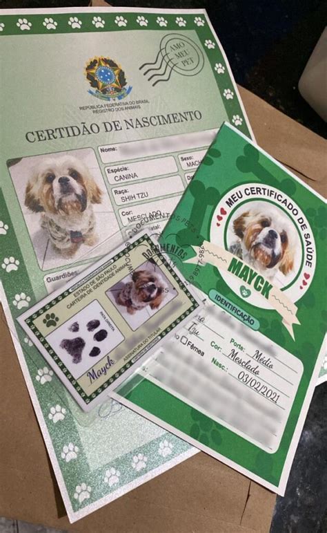 Kit 3 Documentos Pets Impresso