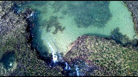 Boag Rocks Mornington Peninsula Australia Youtube