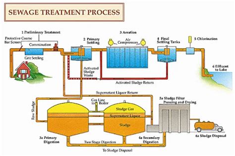 Flow Diagram For A Typical Large-scale Sewage Treatment, 56% OFF